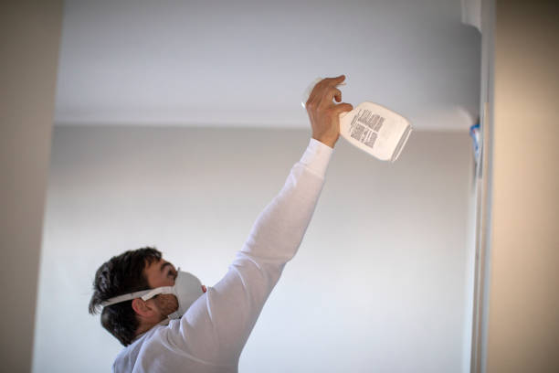 Best Local Mold Removal Service  in Seneca, MO