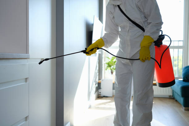 Best Certified Mold Removal  in Seneca, MO