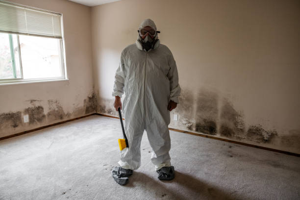 Crawl Space Mold Removal in Seneca, MO